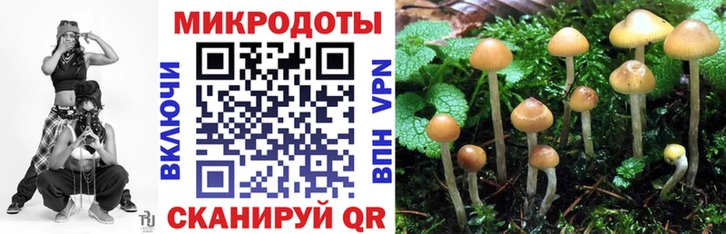 Псилоцибиновые грибы MAGIC MUSHROOMS  купить наркоту  Железногорск-Илимский 